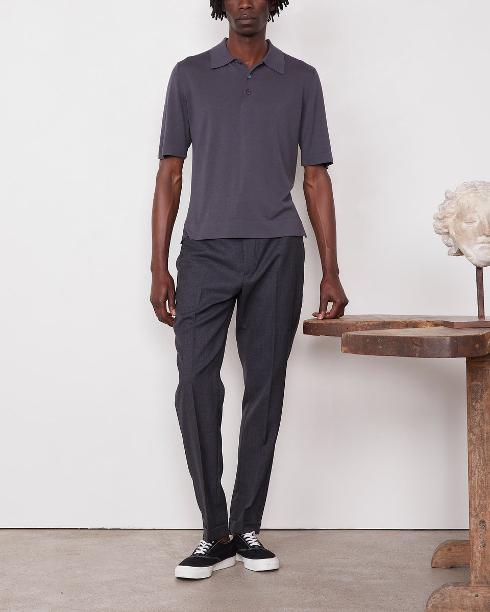 Polo brutus 1 - Image 1