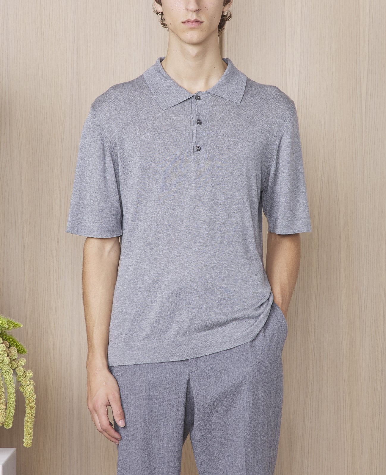 Polo brutus - Image 2