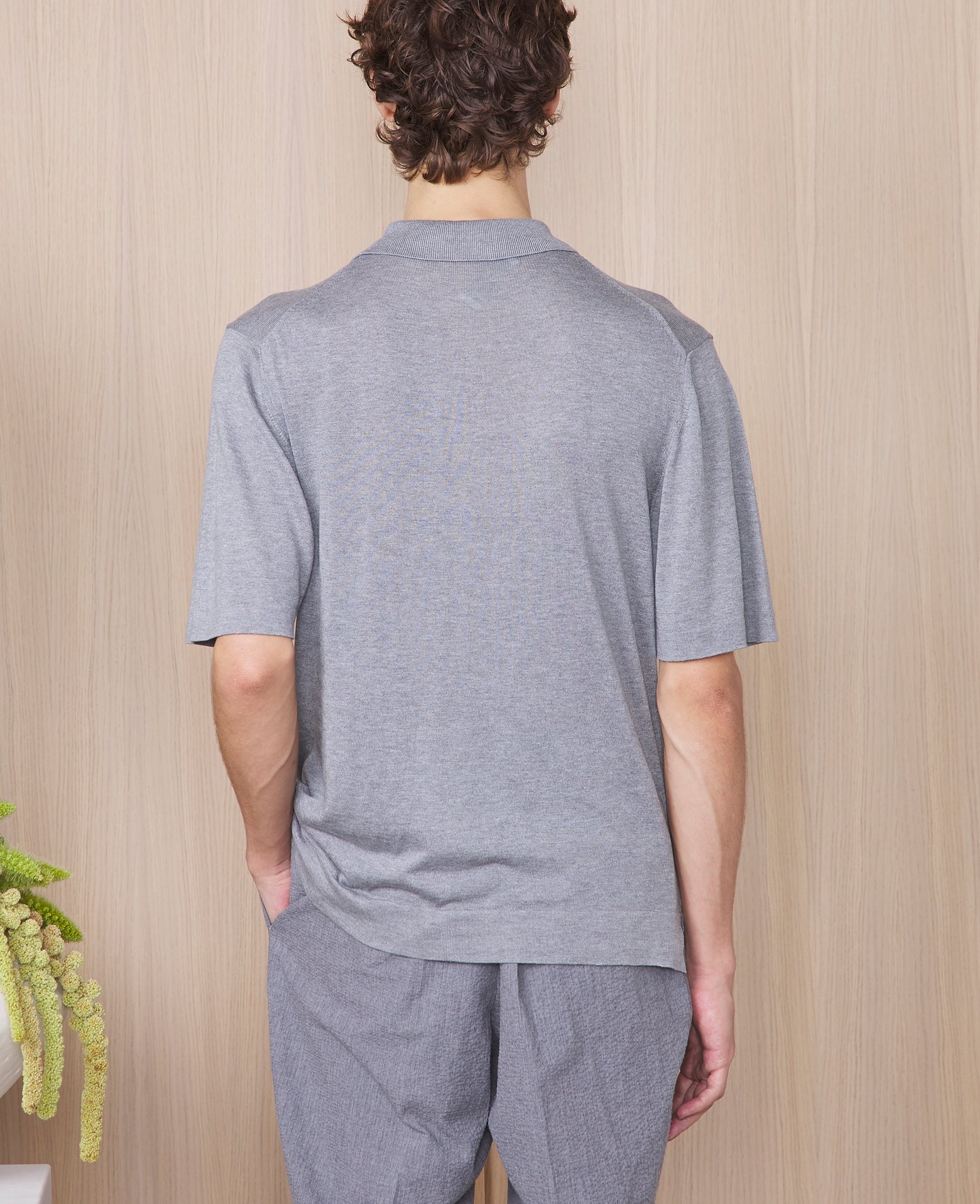 Polo brutus - Image 3