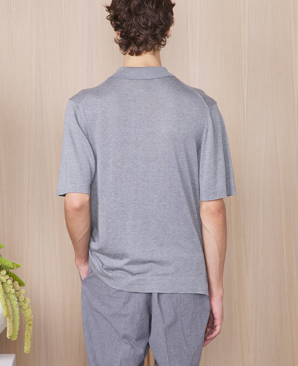 Polo brutus - Image 3