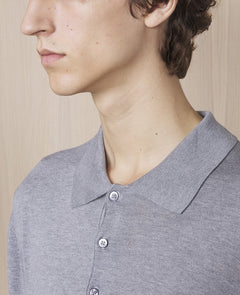 Polo brutus - Miniature 4
