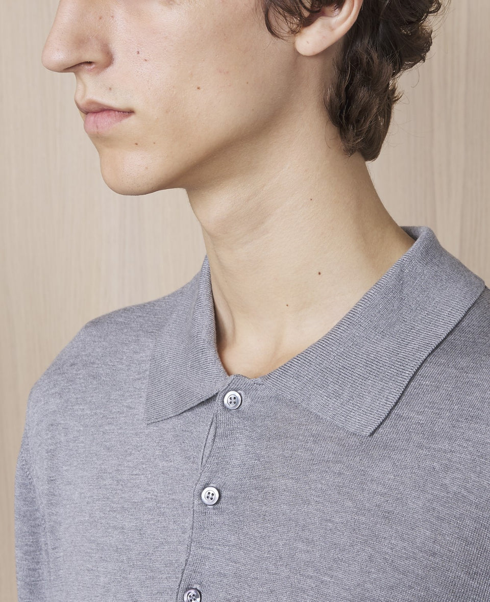 Polo brutus - Image 4