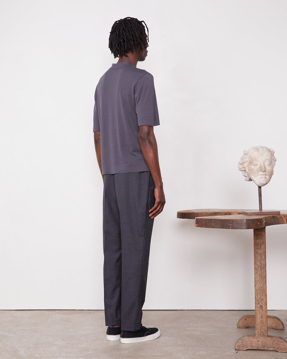 Polo brutus 3 - Image 3