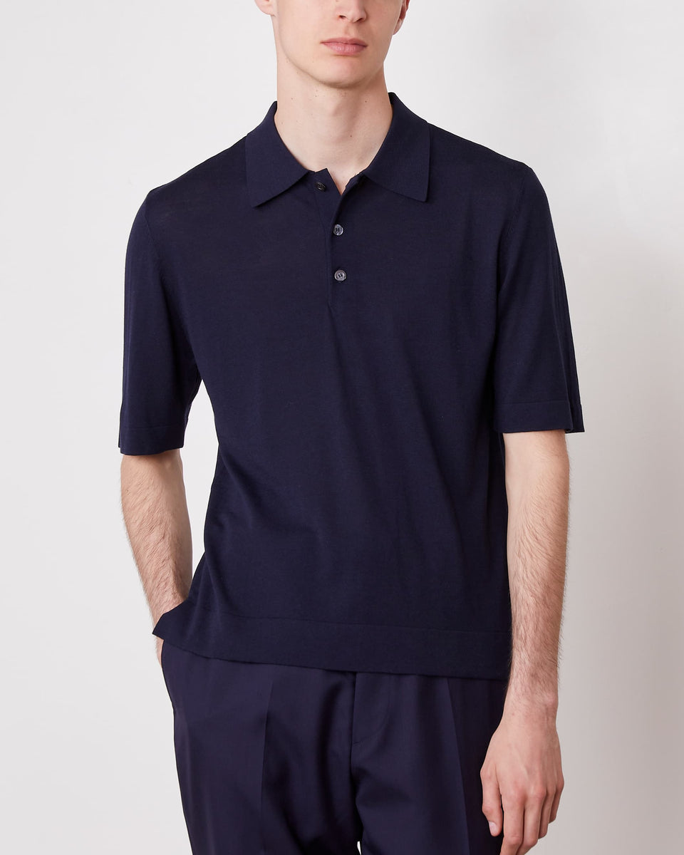 Polo brutus 2 - Image 2