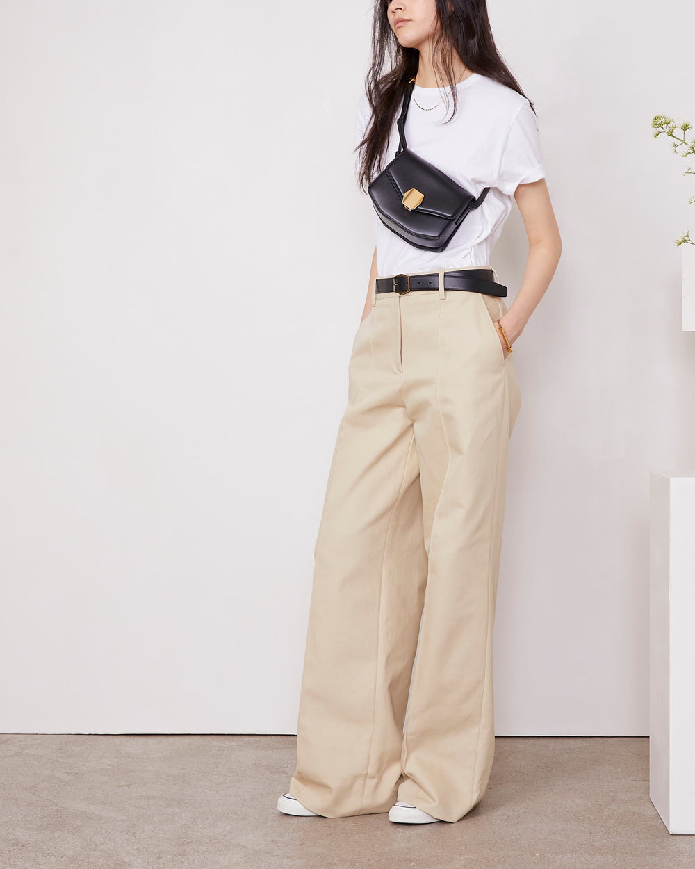 Chino rosela
