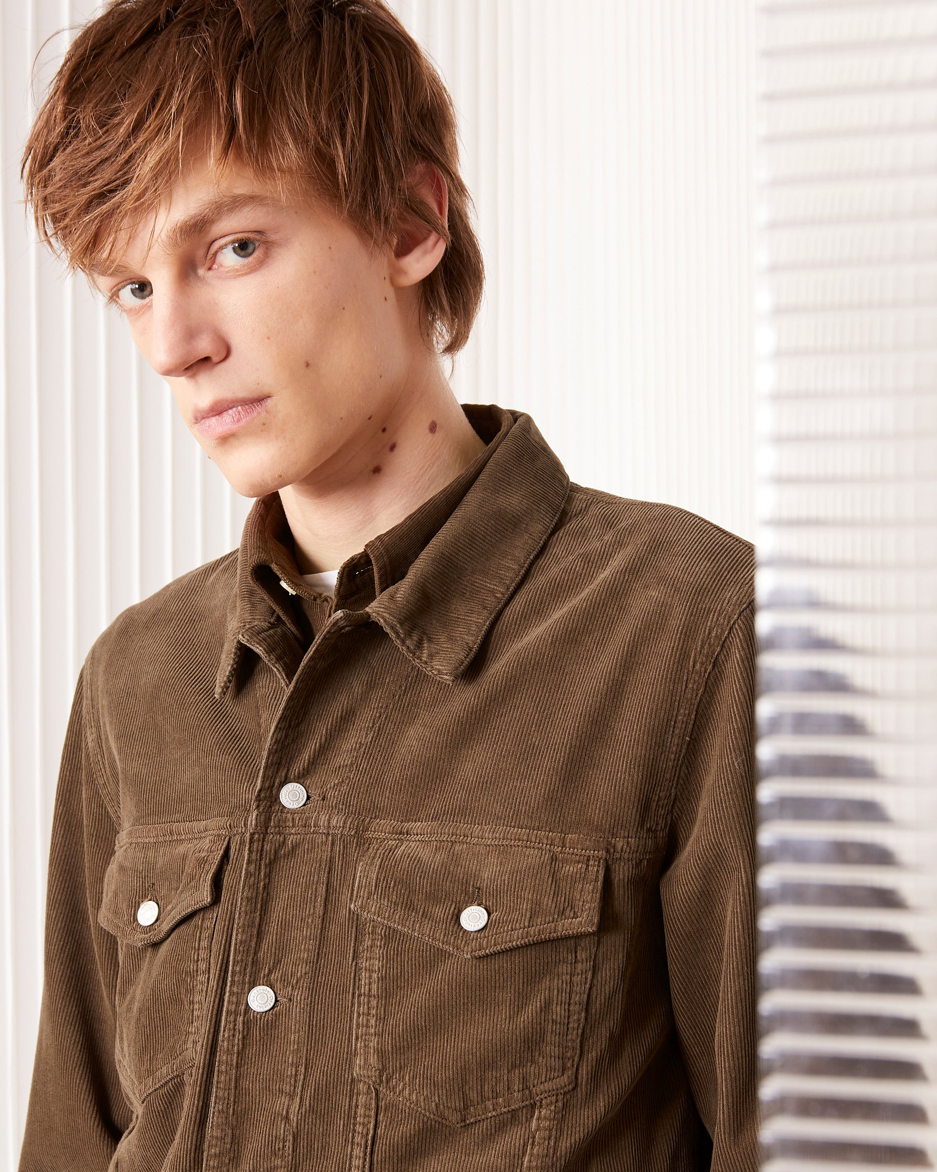 Veste leonide - Image 2